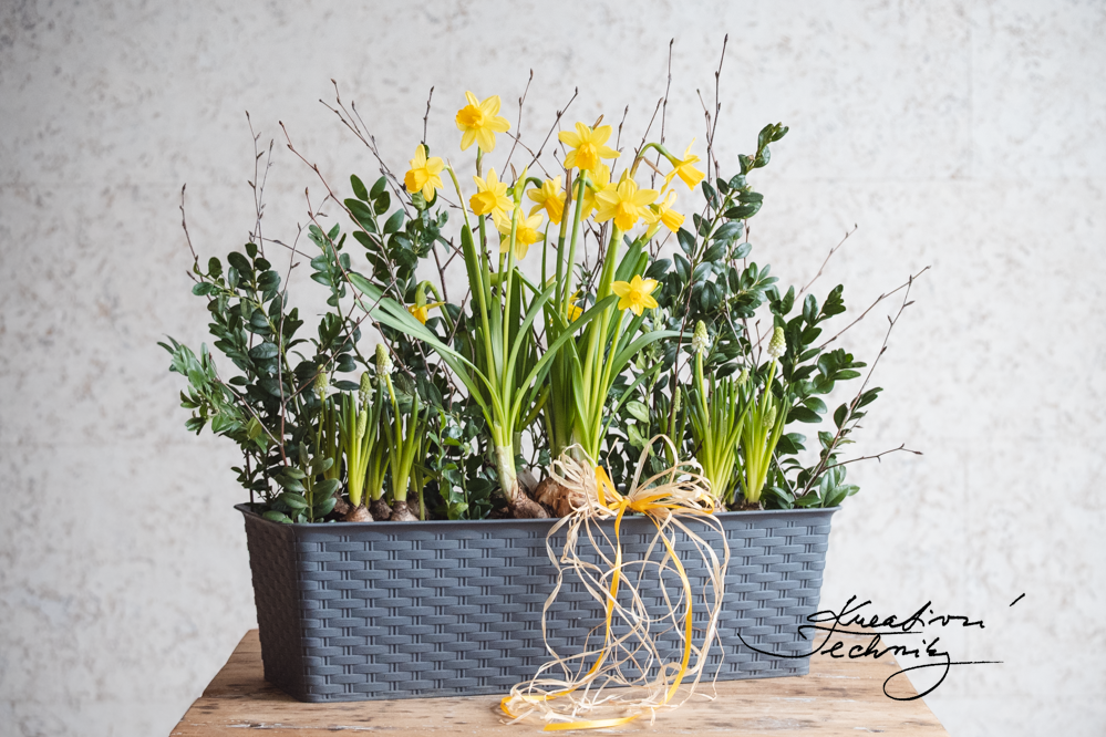 Jarní truhlíky. Květinové truhlíky. Jarní truhlíky na okno. Jak osadit jarní truhlíky. Čím osadit jarní truhlíky. Jarní truhlíky na balkon. Jarní dekorace inspirace venkovní. Venkovní dekorace. Dekorace ke vchodovým dveřím. Dekorace ke dveřím. Dekorace ke vchodu. Květinová aranžmá pro jarní truhlíky. Velikonoční dekorace. Velikonoční truhlíky. Venkovní velikonoční dekorace. Inspirace. Velikonoční tvoření. Velikonoční výzdoba. Jarní květiny tvoření. Velikonoce. Přírodní dekorace.