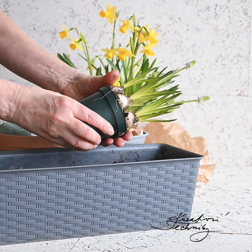 Květinové truhlíky. Jarní truhlíky. Jarní truhlíky na okno. Jak osadit jarní truhlíky. Čím osadit jarní truhlíky. Jarní truhlíky na balkon. Jarní dekorace inspirace venkovní. Venkovní dekorace. Dekorace ke vchodovým dveřím. Dekorace ke dveřím. Dekorace ke vchodu. Květinová aranžmá pro jarní truhlíky. Velikonoční dekorace. Velikonoční truhlíky. Venkovní velikonoční dekorace. Inspirace. Velikonoční tvoření. Velikonoční výzdoba. Jarní květiny tvoření. Velikonoce. Přírodní dekorace.